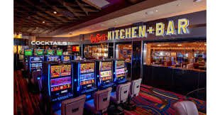 erek31 dashboard showing live casino tables